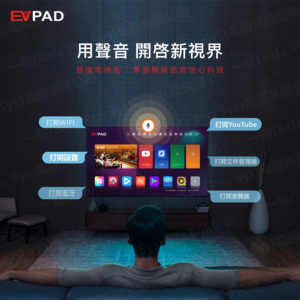 EVPAD七代 EVPAD 7P語音版開箱實拍