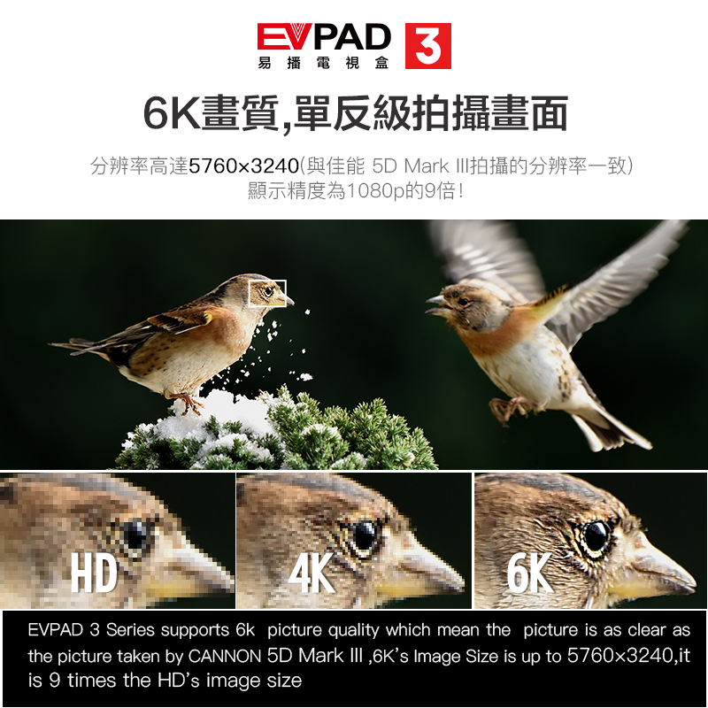 evpad3 pro開箱實拍